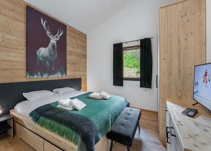Quintessence - B303 - -remises Sur Les Forfaits De Skis Ou Portes Du Soleil